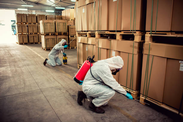 Best Local Pest Control Services  in Beaverton, MI