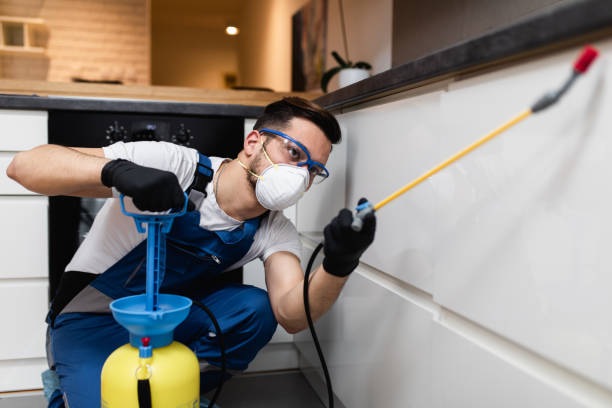 Best Pest Prevention Services  in Beaverton, MI