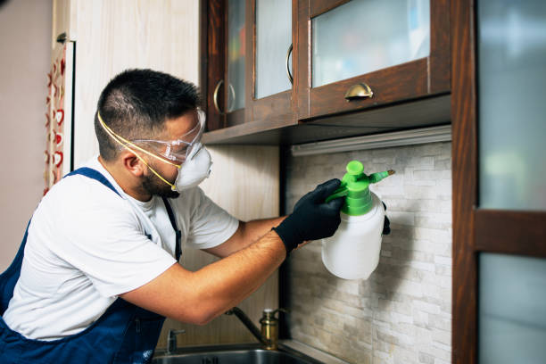Best Best Pest Control Companies  in Beaverton, MI