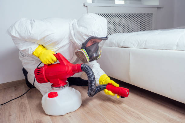 Best Bed Bug Extermination  in Beaverton, MI