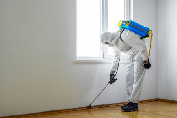 Best Mosquito Control Services  in Beaverton, MI