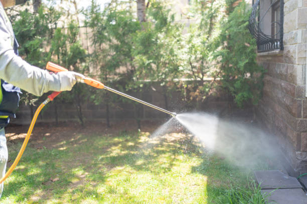 Best Flea Control Services  in Beaverton, MI