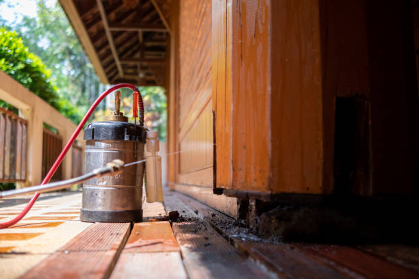 Best Exterminator Services  in Beaverton, MI