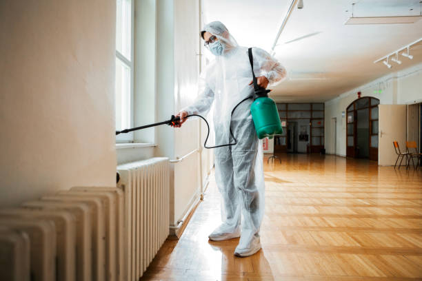 Best Affordable Pest Control Services  in Beaverton, MI