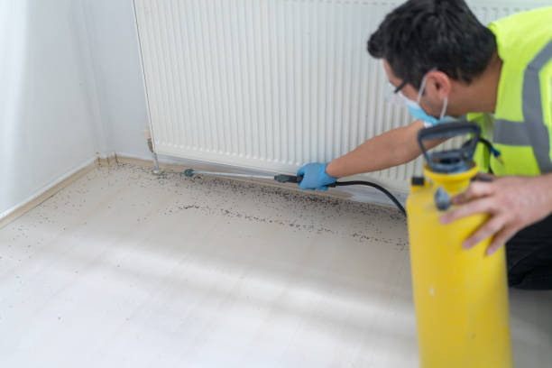 Trusted Beaverton, MI Pest Control Experts