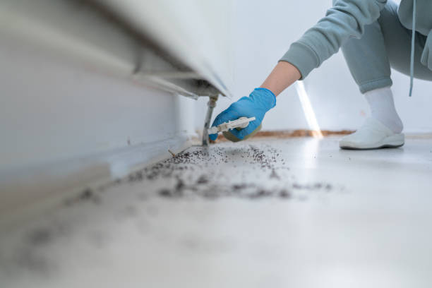 Best Insect Control  in Beaverton, MI