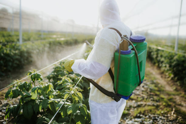 Best Best Pest Control Companies  in Beaverton, MI